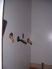 Les GLORY-HOLE